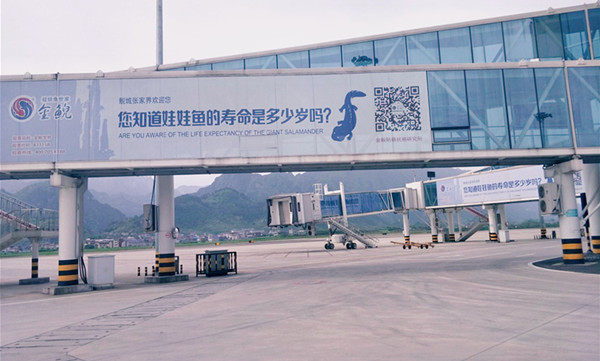张家界机场廊桥广告