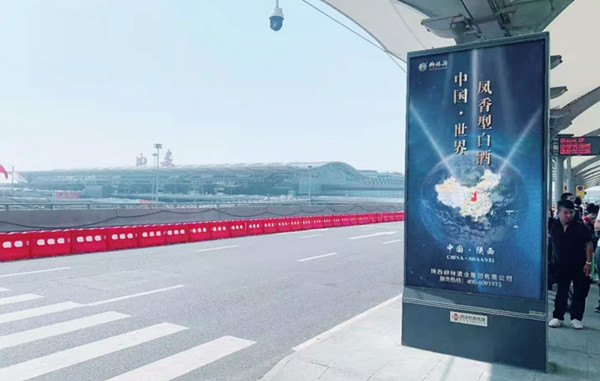 柳林酒业机场广告投放案例