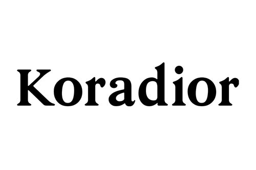 koradior--深圳机场广告投放案例