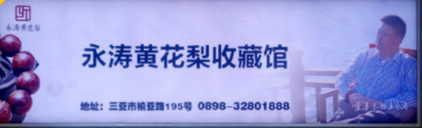 三亚凤凰机场广告有哪些媒体形式?