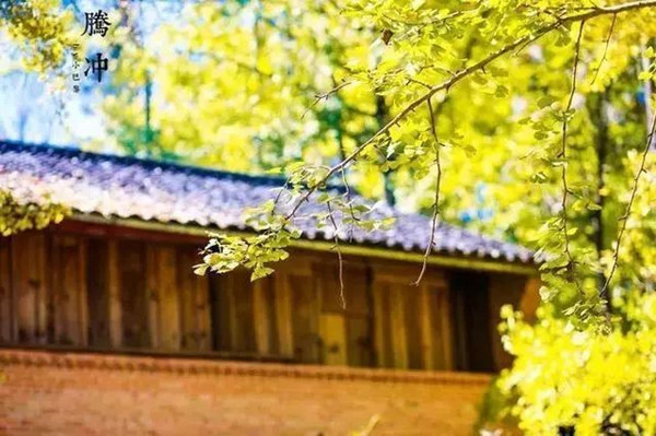 腾冲旅游地铁广告