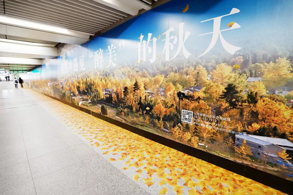 腾冲旅游北京地铁广告