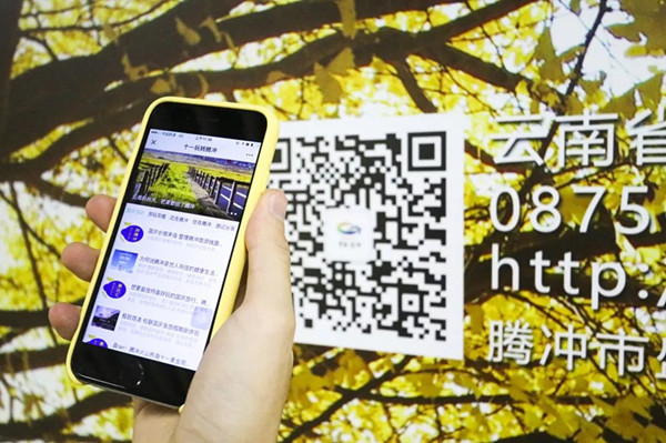 腾冲旅游地铁广告