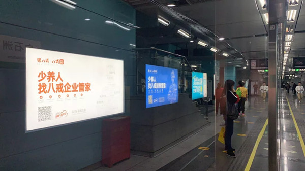 猪八戒网深圳地铁广告投放案例
