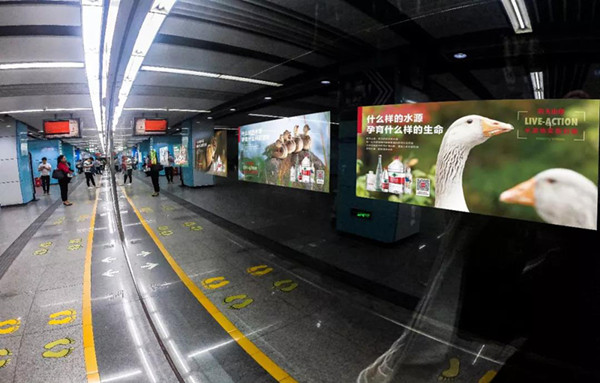 农夫山泉深圳地铁广告