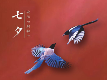 七夕节，你秀恩爱了吗?