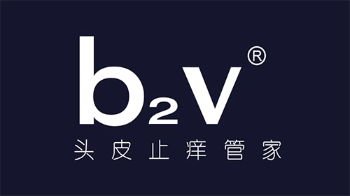 b2v--广州地铁广告投放案例