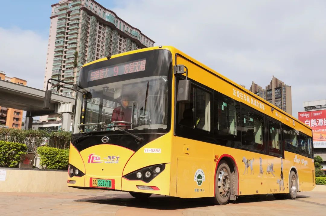 “导盲犬主题巴士”广州公交广告9路线发车了！