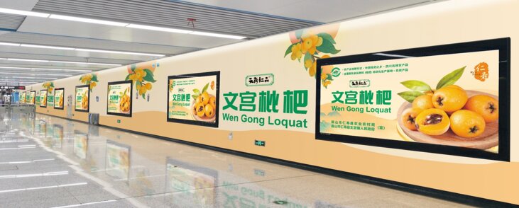 成都地铁广告-成都地铁广告投放价格-成都地铁广告公司