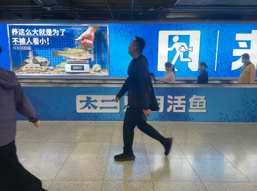 太二酸菜鱼-深圳地铁广告