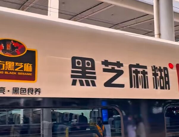 南方黑芝麻-高铁车身广告