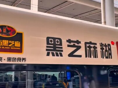 南方黑芝麻-高铁车身广告