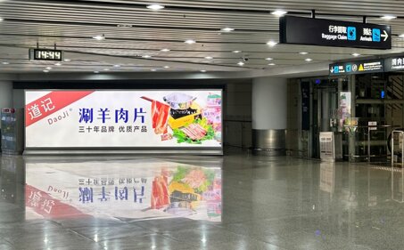 深圳第一户外传媒有限公司-揭阳潮汕机场T1航站楼到达通道下行李提取区口落地灯箱