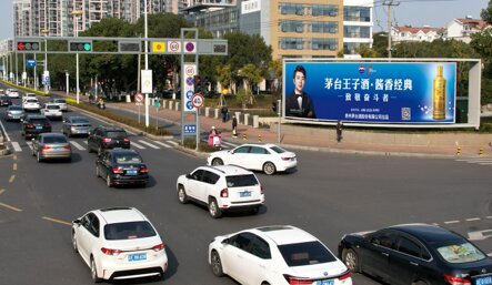 深圳第一户外传媒有限公司-苏州星湖街落地灯箱广告